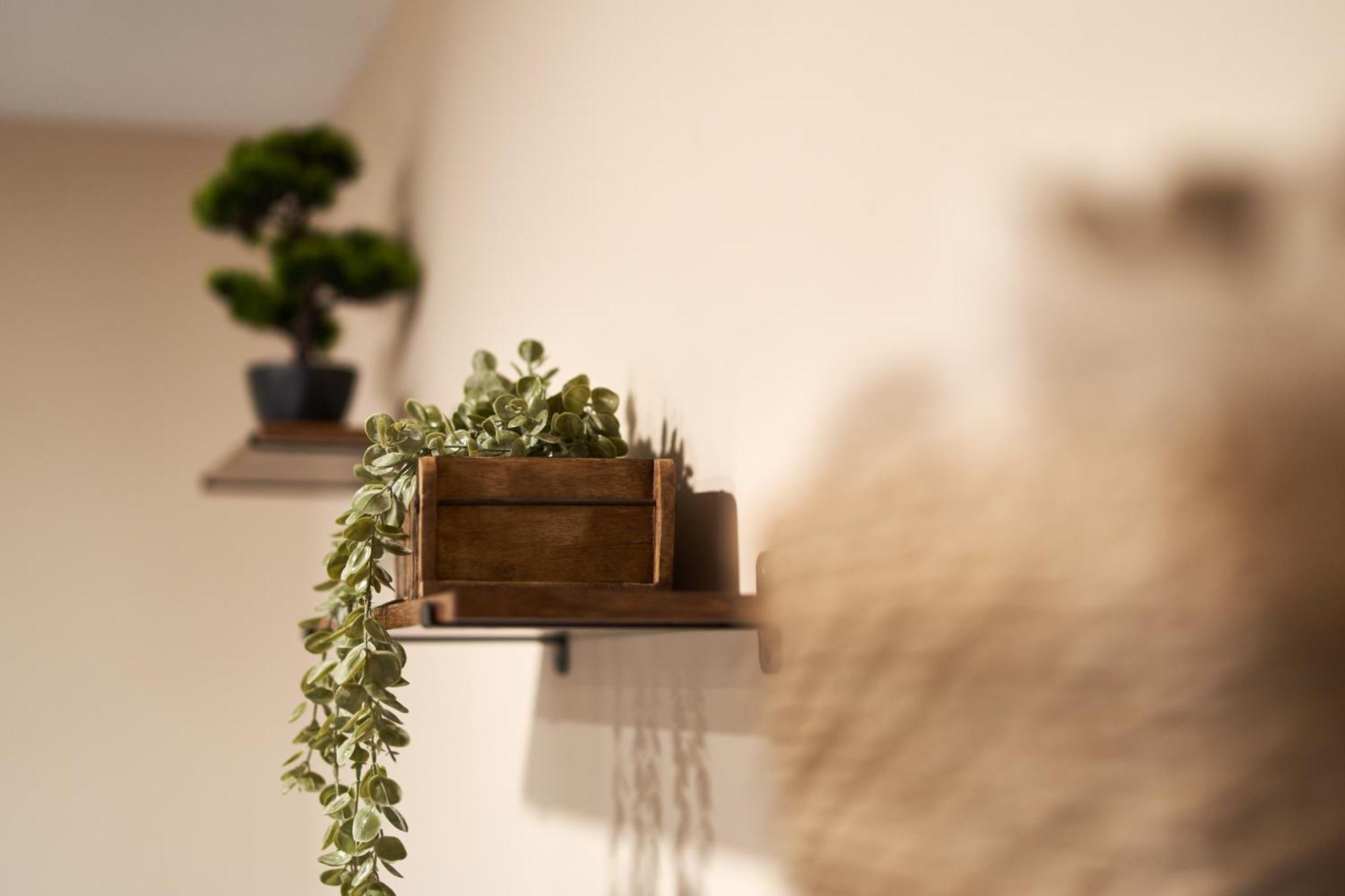 Casa Rural El Paloteo セゴビア エクステリア 写真